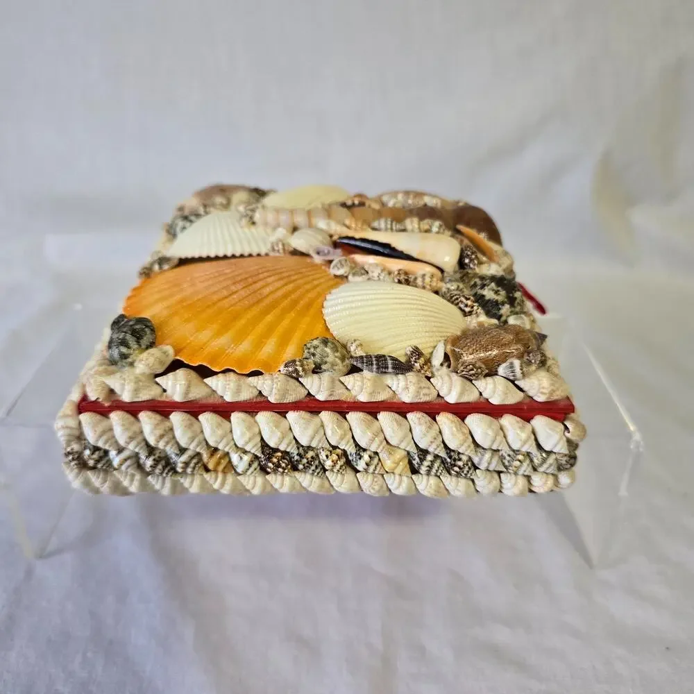 Shell Trinket Box Embellished Decorative Seashells 5.5